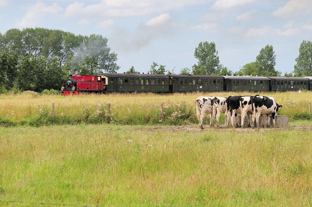 Een lokaal kantoor met een breed netwerk